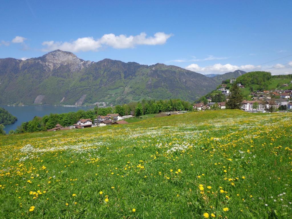 Apart Holidays Morschach Eksteriør bilde
